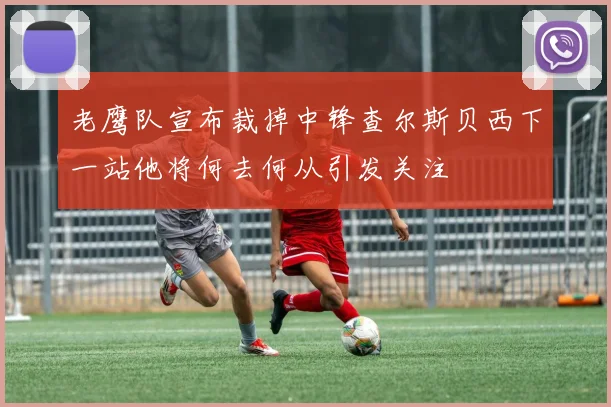老鹰队宣布裁掉中锋查尔斯贝西下一站他将何去何从引发关注