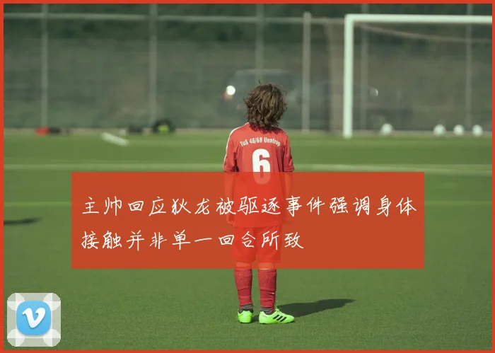 主帅回应狄龙被驱逐事件强调身体接触并非单一回合所致