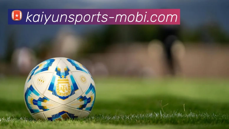 开云体育APP 封面图