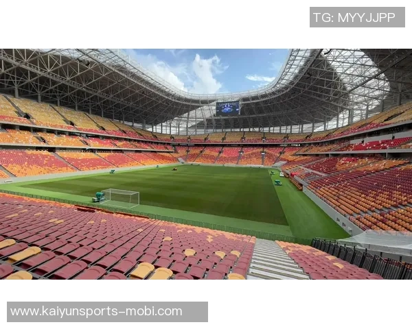 重庆铜梁龙明年主场将落户龙兴足球场正式确定