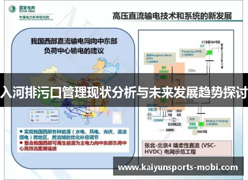 入河排污口管理现状分析与未来发展趋势探讨