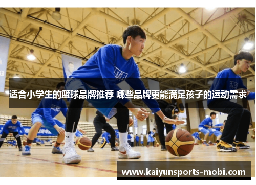 适合小学生的篮球品牌推荐 哪些品牌更能满足孩子的运动需求
