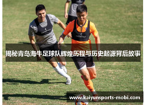 揭秘青岛海牛足球队辉煌历程与历史起源背后故事