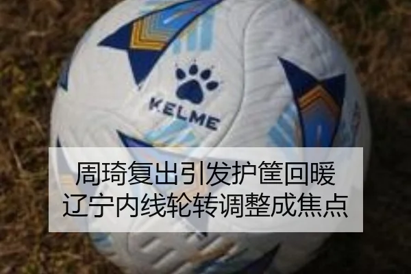 周琦复出引发护筐回暖 辽宁内线轮转调整成焦点 | kaiyun